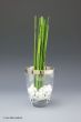 Vase Kristall Platin Rand 16 cm