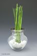 Vase Kristall Platin Rand  Kugelform 20 cm