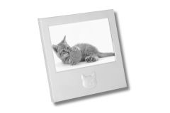 Bilderrahmen Katzenmotiv versilbert glatt 10x15 cm