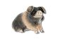 Schwein zweifarbig emailliert sitzend Sterlingsilber