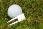 Silber Greengabel Pitchgabel Golf
