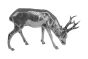 Rehbock Silber 1