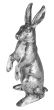 Hase stehend Sterling-Silber 27 cm