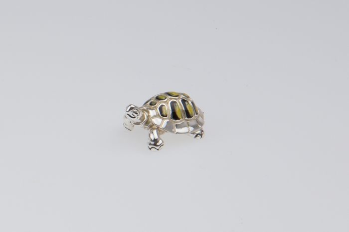Silber Schildkröte klein