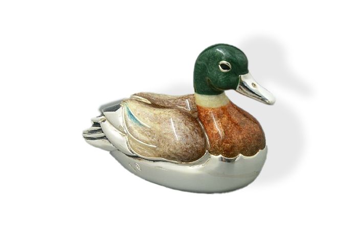 Silber Ente schwimmend groß